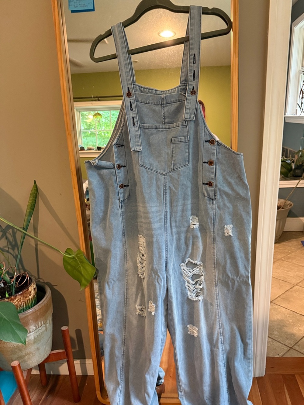 Light Wash Distressed Denim Overalls